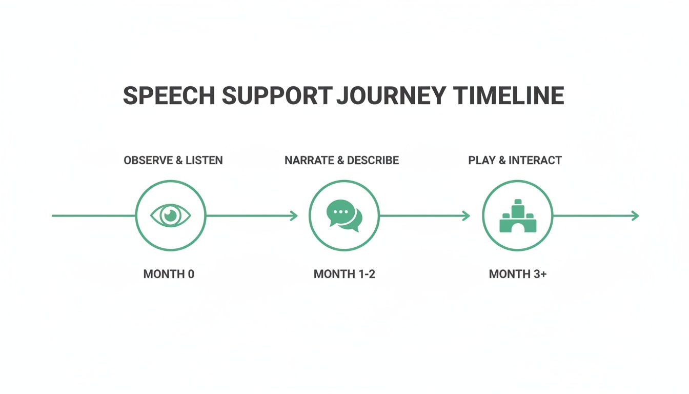 A speech support journey timeline illustrating three stages: observe, narrate, and play, with their respective months.