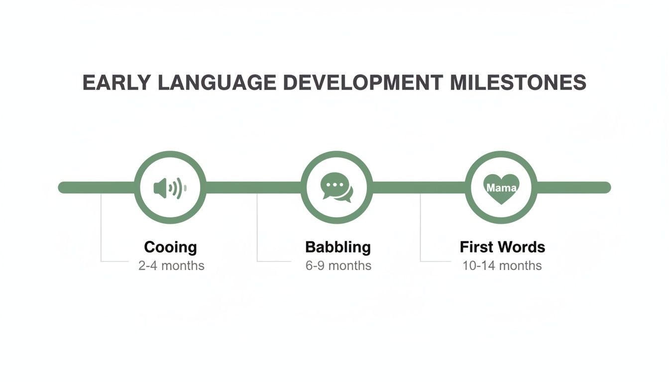 A timeline illustrating early language development milestones: Cooing (2-4 months), Babbling (6-9 months), and First Words (10-14 months).