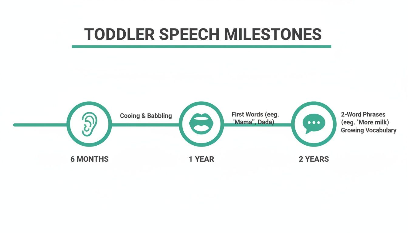 Timeline illustrating toddler speech milestones: cooing (6 months), first words (1 year), and 2-word phrases (2 years).