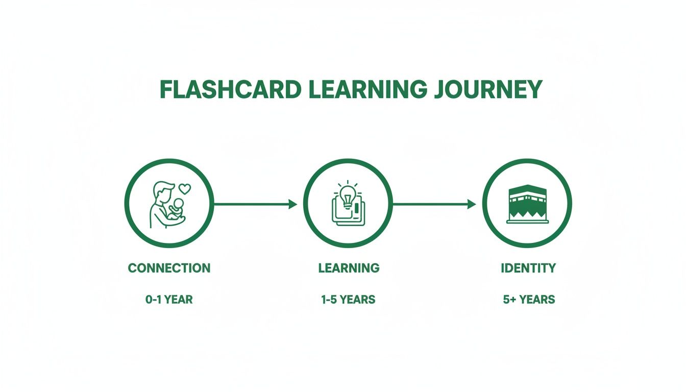 Infographic showing a flashcard learning journey across three developmental stages: connection, learning, and identity.