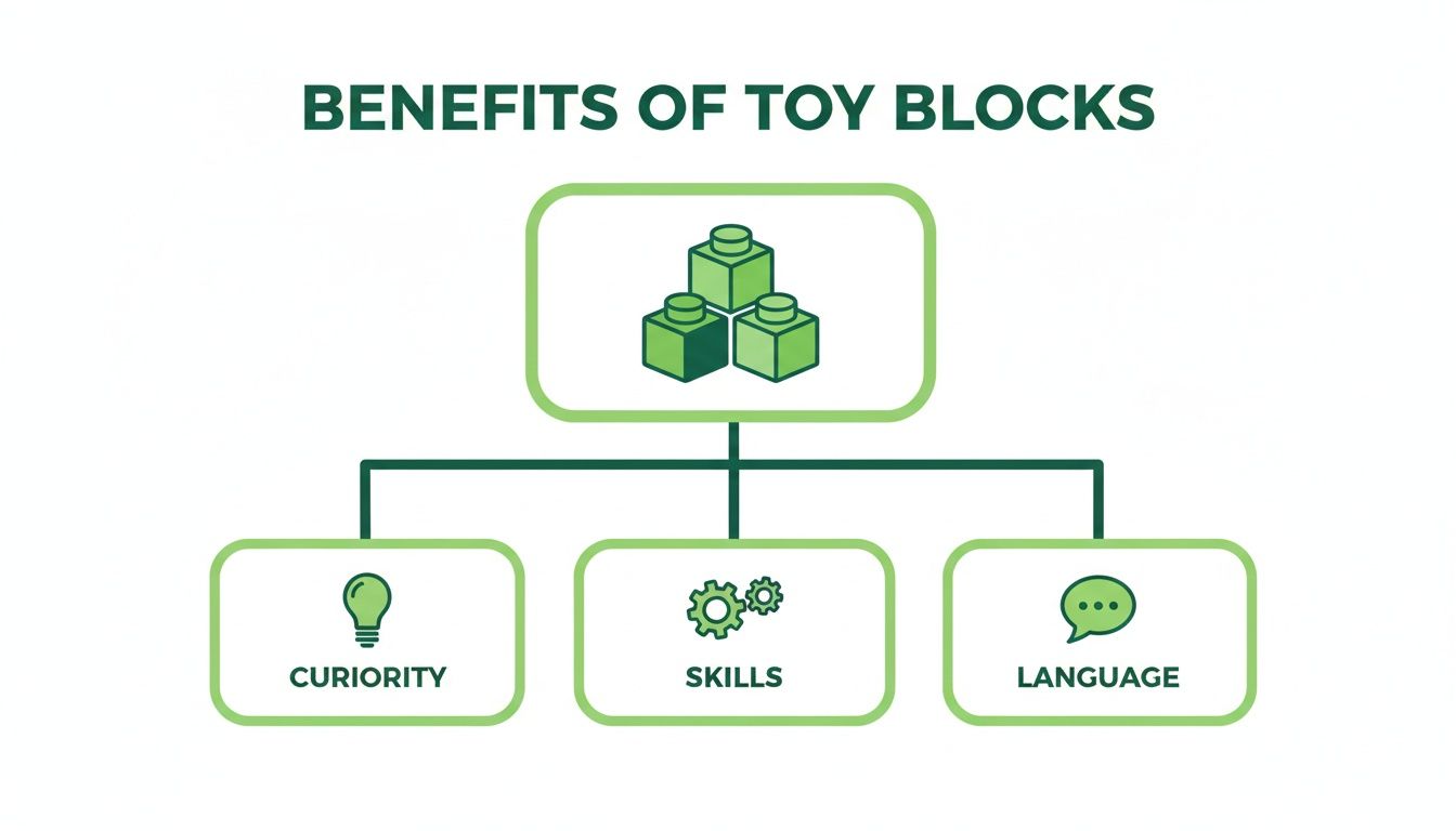 Infographic illustrating the benefits of toy blocks, highlighting curiosity, skills, and language development.